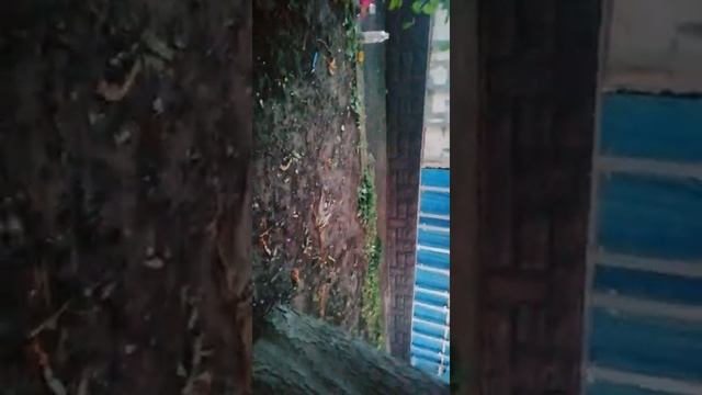 Цоколь из альпийского камня сайдинг.#цоколь #shorts #монтаж #сайдинг смотреть онлайн