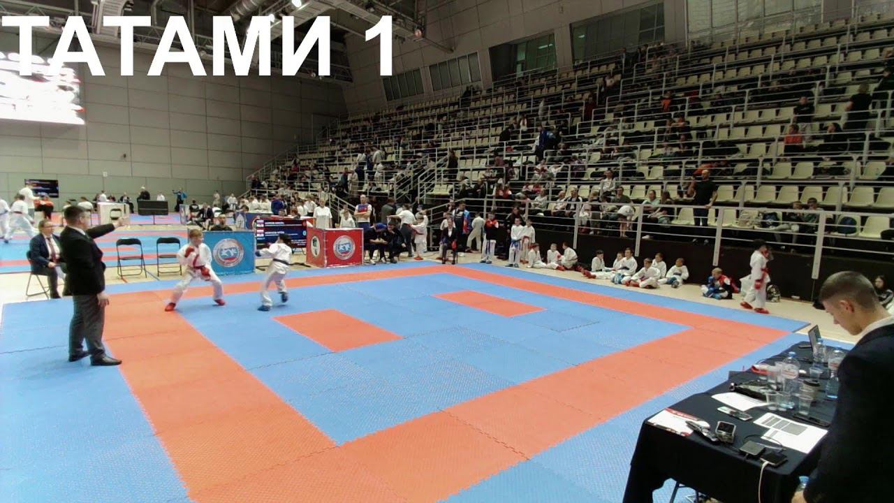 ВС Престиж Кузбасса - татами 1 день 2 смотреть онлайн