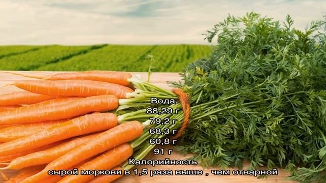 Калорийность, витамины и пищевая ценность моркови свежей и приготовленной смотреть онлайн