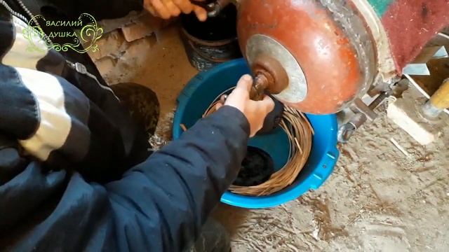 Обработка прута ивы паром для очистки от коры смотреть онлайн