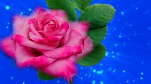 Футаж. Цветочный фон 107