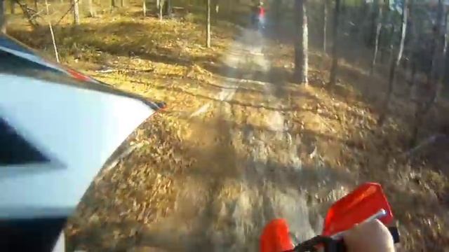 Gopro Xr80 In Woods