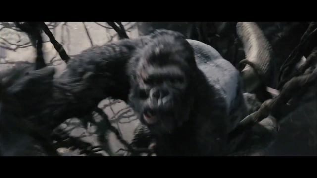 King Kong V Reh fight 1080 HD смотреть онлайн