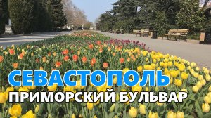 Приморский бульвар. Севастополь