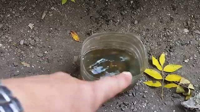 Как отмыть эффективно битум с машины. смотреть онлайн