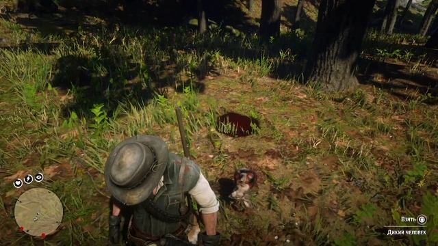 RDR2 Зверюга ЙЕТИ и зомби ЗАЙЦ смотреть онлайн
