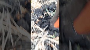 посевная 2023 овес. первый день в поле, настройка сеялок