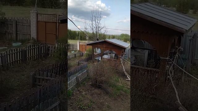 Самый умный кот в мире Чернуха понимает русский язык / smart cat understands Russian смотреть онлайн