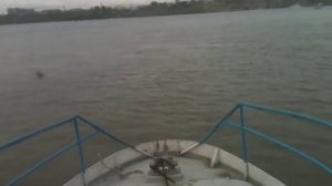 Катер ТБС 20