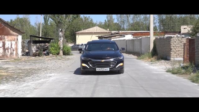 Alimov Films Dan Kortej Yul смотреть онлайн
