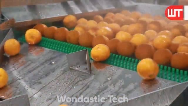 Jelly Beans Factory | How It's Made Jelly Beans смотреть онлайн