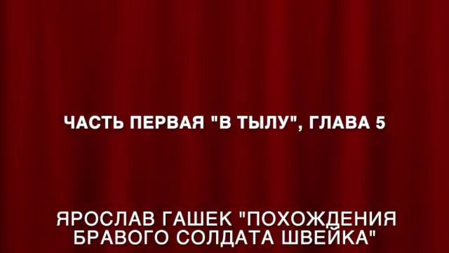 Ярослав Гашек "Похождения бравого солдата Швейка" Часть 1, глава 5 смотреть онлайн