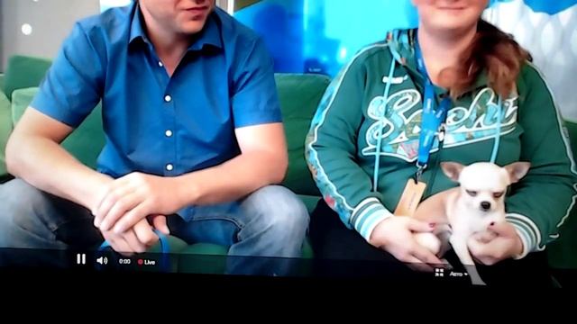 VLOG:Трансляция ворониных Очень круто смотреть все смотреть онлайн