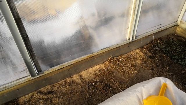 Распаковка покупки для сада и огорода. Микроудобрения и мультикомплексы Долагро. Мои бедовые кошки смотреть онлайн