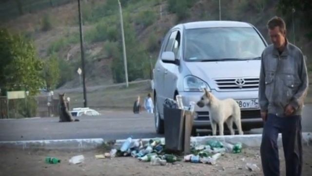 Моя Чита. Рэп. смотреть онлайн
