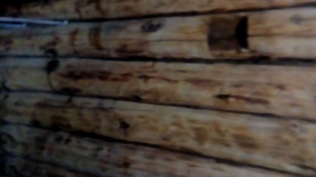 обзор баня, предбаник, беседка под одной крышей смотреть онлайн