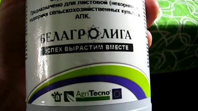 удобрения для голубики и препараты по уходу за ней смотреть онлайн