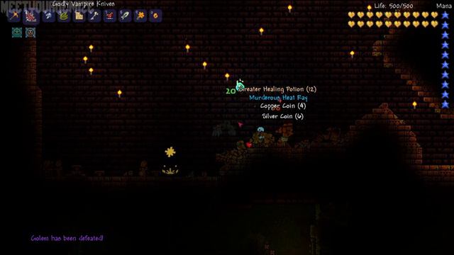 Terraria 1.2: All 8 Water Fountains (Witch Doctor NPC) [demize] смотреть онлайн