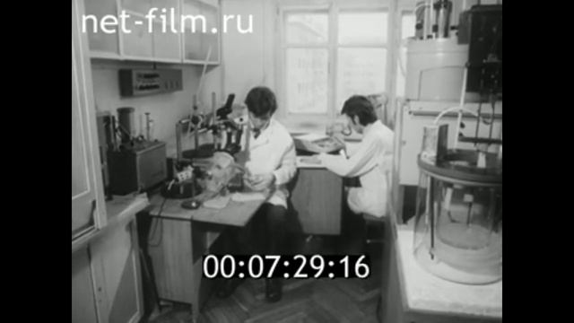 1977г. Сыктывкар. институт геологии смотреть онлайн