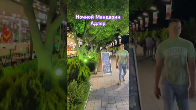 Путешествие по Адлеру, Мандарин ночью #адлер #мандарин #черноеморе смотреть онлайн