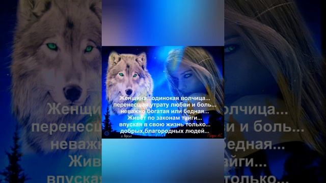 Видео картинка про волков смотреть онлайн