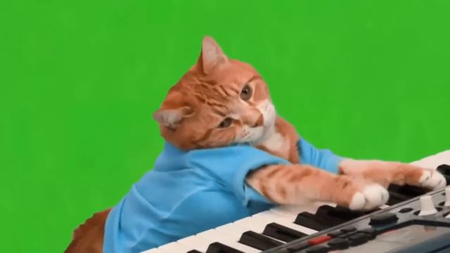 ФУТАЖ НА ЗЕЛЕНОМ ФОНЕКОТ ИГРАЕТ НА ПИАНИНО/FOOTAGE ON A GREEN BACKGROUND A COTT PLAYING THE PIANO смотреть онлайн