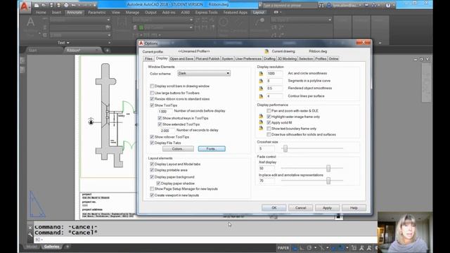 AutoCAD Video Tips: Make Your Command Line Stand Out (Lynn Allen/Cadalyst Magazine) смотреть онлайн