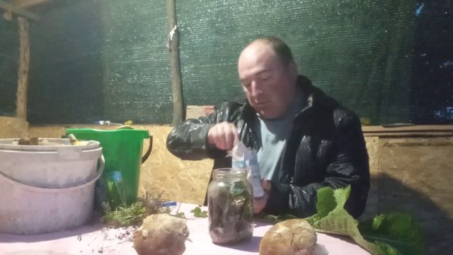 Солю черные грузди.Показую результат тихой охоты за три часа поиска грибов. смотреть онлайн