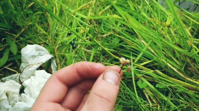 Первое моё видео.Рыбалка на карася смотреть онлайн