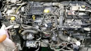 Замена цепи ГРМ на Renault Scenic 1.6d, R9M402