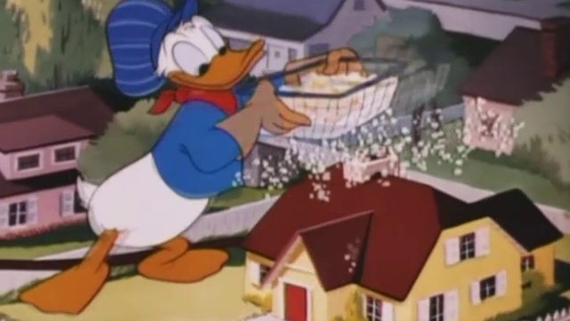 DME 25 Changing Seasons