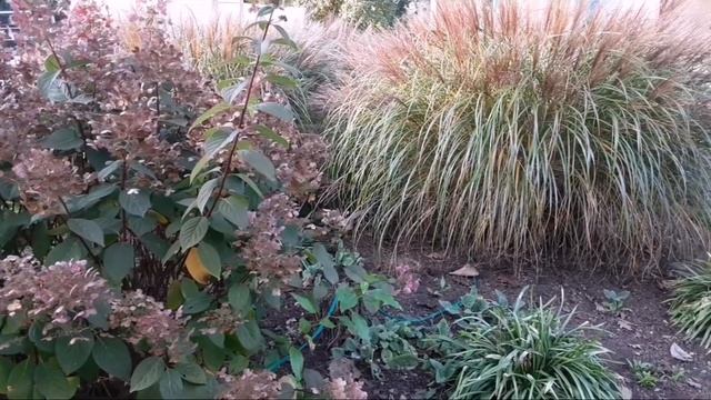 bad Bellingen 17.10.2021 смотреть онлайн