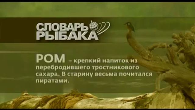 Видео про рыбалку смотреть онлайн