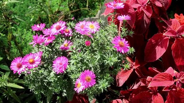 Осенний Железноводск