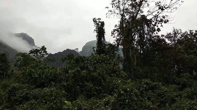 Эхо в горах Лаоса смотреть онлайн