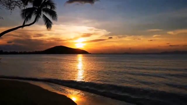 Pattaya смотреть онлайн