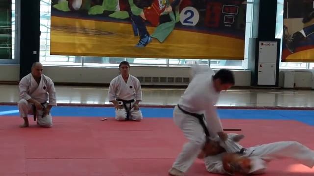 Годзюрю карате в Казани смотреть онлайн