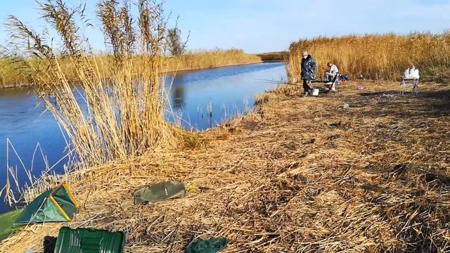 Рыбалка на Кубани. Гривенская, Лебеди, Красный Конь. смотреть онлайн
