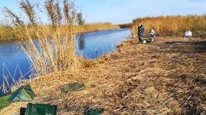 Рыбалка на Кубани. Гривенская, Лебеди, Красный Конь.