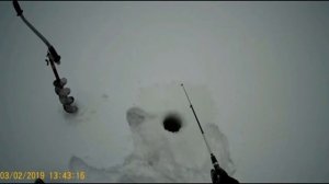 Экстримальная зимняя рыбалка на Саяно-шушенском водохранилище.