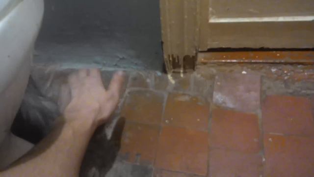 ЧЕЙЗ И ВЛАЖНЫЕ КИСКИ