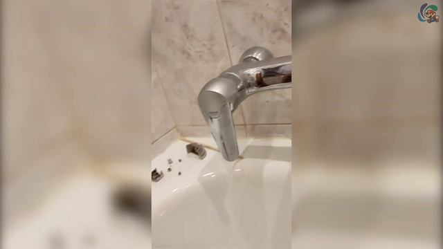 Ремонт смесителя Grohe с нажимным переключателем душа \ Grohe's Tap Repair