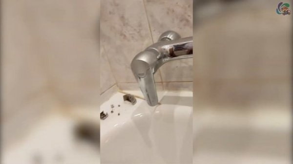 Ремонт смесителя Grohe с нажимным переключателем душа \ Grohe's tap repair