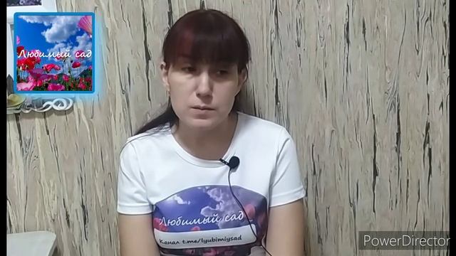 зелёнка в садоводстве смотреть онлайн