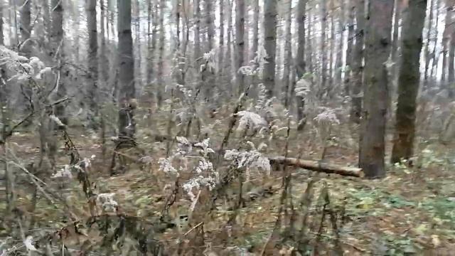 Последний месяц осени настал, Лужки, детский стишок