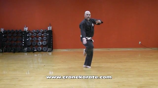 Rohai Sample from Matsumura Shorin Ryu Karate DVD смотреть онлайн