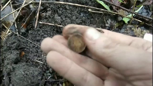 #Лес Люфтваффе#Двойной Удар по коллекции# ЗАКРЫТИЕ СЕЗОНА 2020# смотреть онлайн