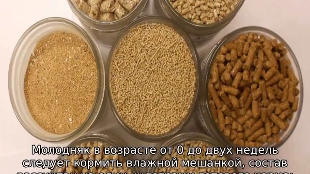 Комбикорм для цыплят смотреть онлайн