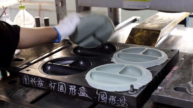 Inside Look: Witness The Making Of Silicon Plates In Our Factory!
