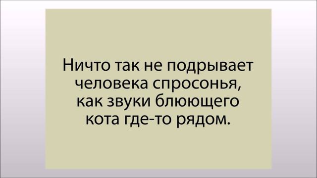 У меня в жизни сейчас очень трудный период - УТРО. смотреть онлайн